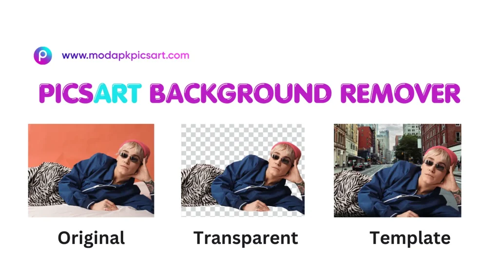 Picsart Background Remover